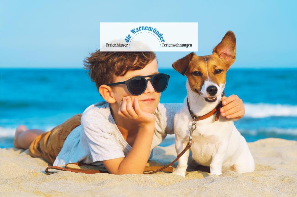 Steuermann, Urlaub In Warnemuende *